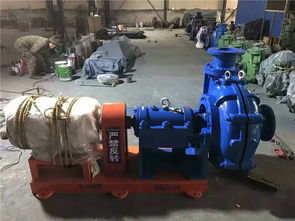 利澤泵業 圖 80zj 36臥式吸沙泵 臥式吸沙泵